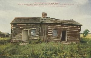 A tree felled and sawed