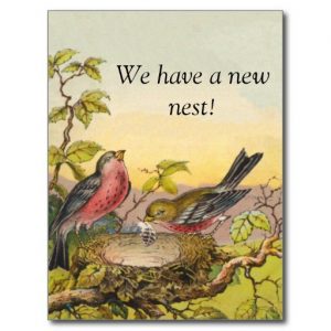 Game Birds Feathering Their Nest