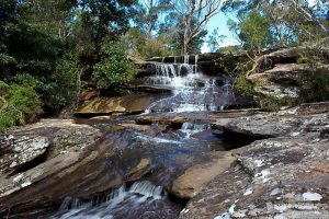 Oxford Falls Waterfall