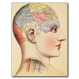 Three Mounds Of Knowledge - Phrenology
